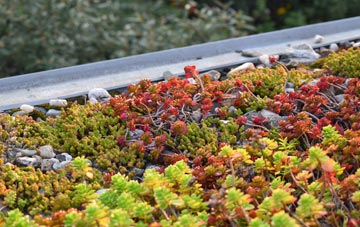 the cost of Chessetts Wood green roof installation