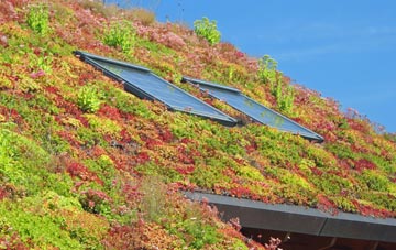 Chessetts Wood living roof systems