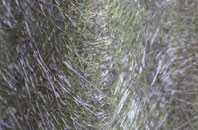 Chessetts Wood fibreglass roof work